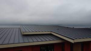 Best Sheet Metal Roofing  in Hart, MI